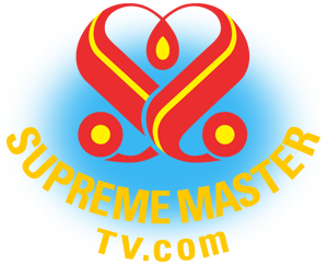 Supreme Master Television